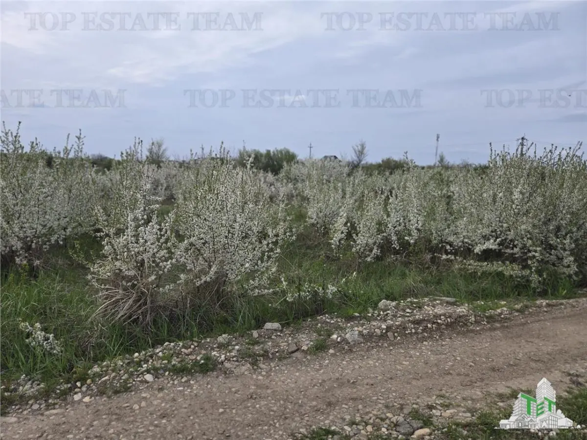 Development Land 420 sqm, 20 Minutes from Bucharest - foto 3
