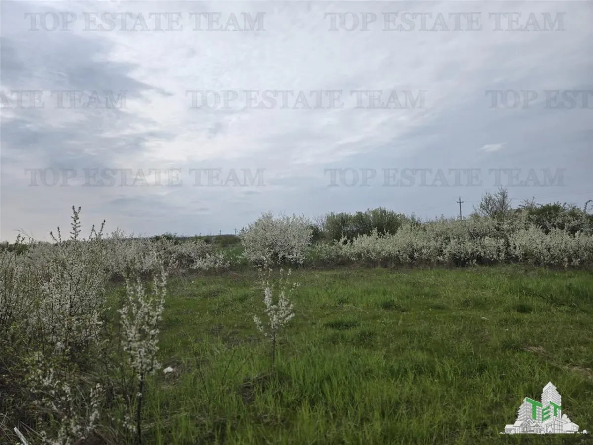 Development Land 420 sqm, 20 Minutes from Bucharest - foto 7