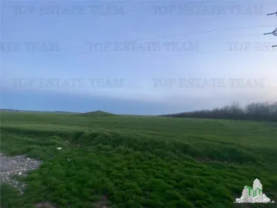 Residential Land Plot 15,000 sqm, Costinesti, Constanta - Costinesti