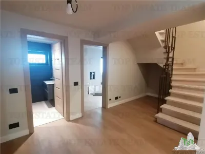 Modern Villa for Rent, Aviatiei Area - Bucuresti