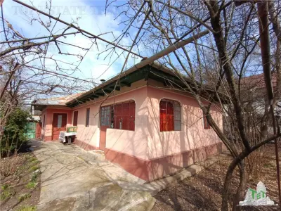 Traditional Farmhouse with Garden and Orchard 1700sqm in Gruiu, 10 min from DN1 - Gruiu