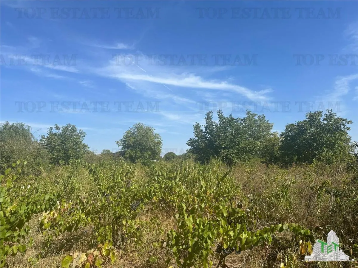 Buildable Land for Sale in Branesti, Ilfov – 2,040 sqm, Residential or Investment - foto 2