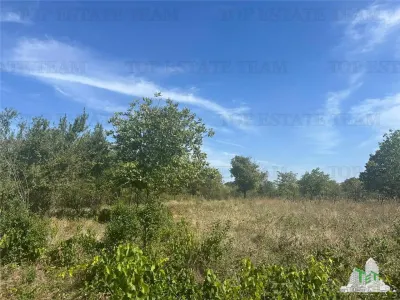 Buildable Land for Sale in Branesti, Ilfov – 2,040 sqm, Residential or Investment - foto 3