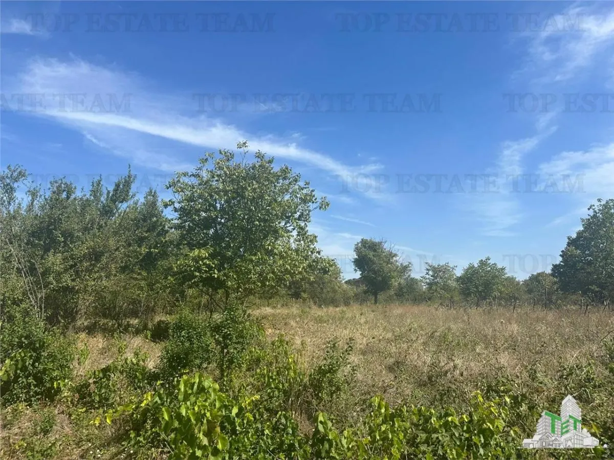 Buildable Land for Sale in Branesti, Ilfov – 2,040 sqm, Residential or Investment - foto 3