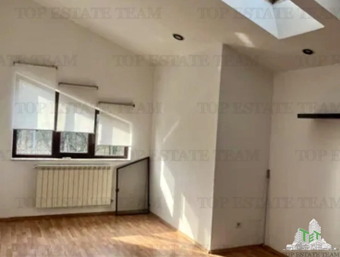 Seven-Bedroom Villa to Let in Floreasca - foto 11