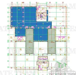 300 sqm Class A Office Space for Rent in Grozavesti, Bucuresti - foto 8