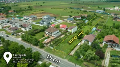 3,000 sqm Development Land with Full Utilities, 10 Minutes from Bucharest - foto 3