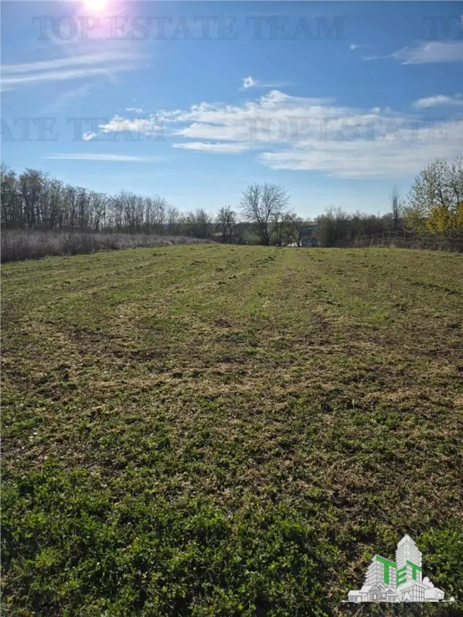 Development Land 3,751 sqm with Utilities, Daia, Giurgiu County - foto 1