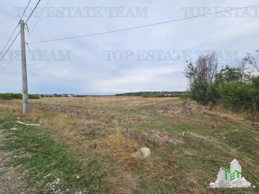 Development Land 3,000 sqm, Branesti, Ilfov - foto 3