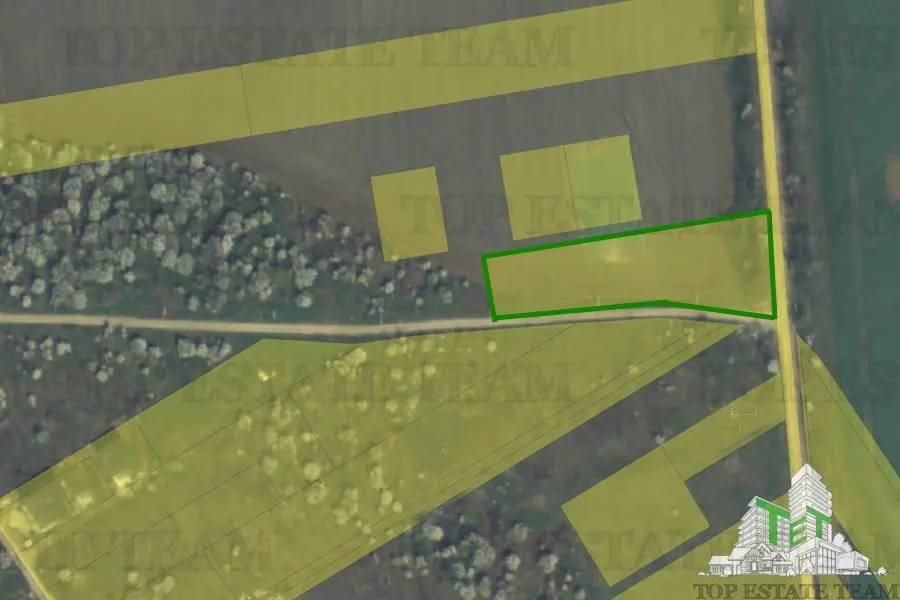 Development Land 3,000 sqm, Branesti, Ilfov - foto 4