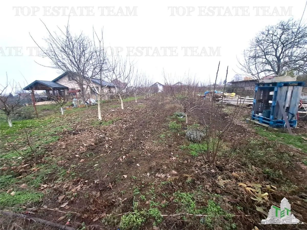Development Land Moara Vlasiei 963 sqm, Prime Location - foto 3