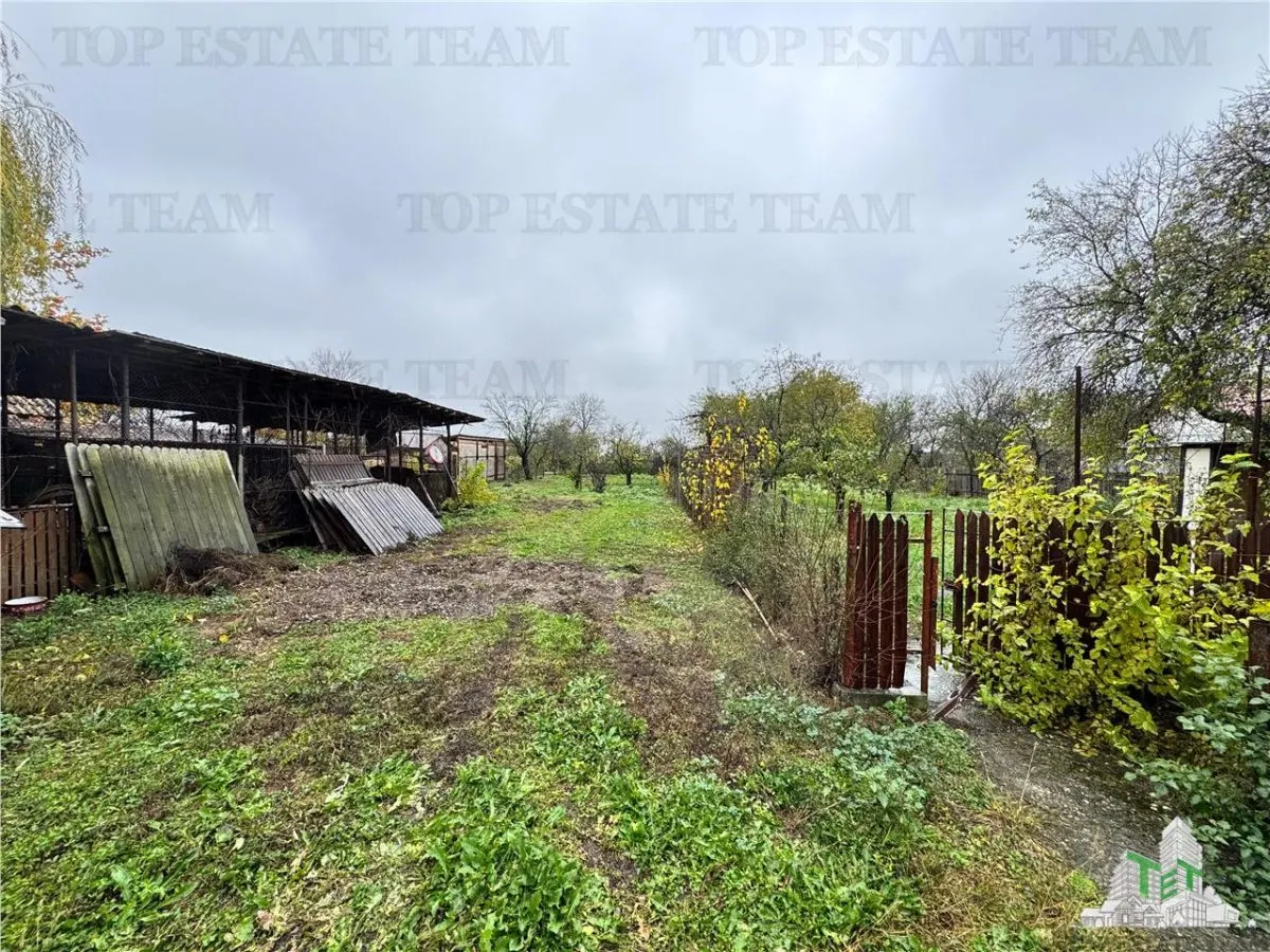 Villa for Sale in Branistea, 2,665 sqm Plot - foto 18