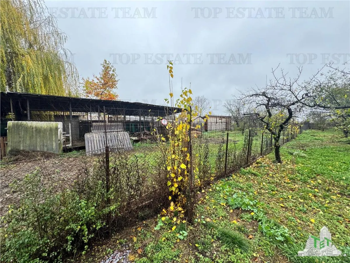 Villa for Sale in Branistea, 2,665 sqm Plot - foto 19