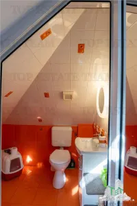 Vatra Luminoasa Villa, Bucharest - foto 17