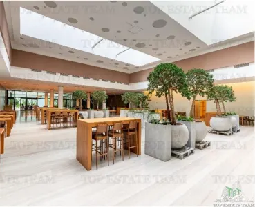 405 sqm Ground Floor Office Space, Baneasa Zone - foto 2