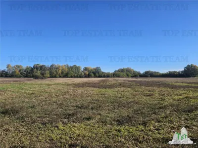 Exceptional Value: 1-Hectare Development Land, Ciorogarla–Domnesti - foto 2