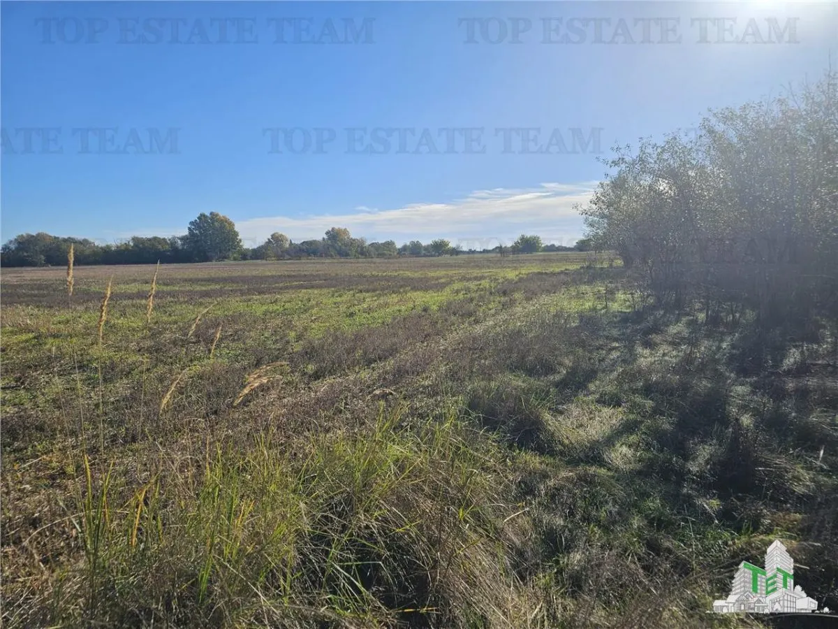 Exceptional Value: 1-Hectare Development Land, Ciorogarla–Domnesti - foto 3