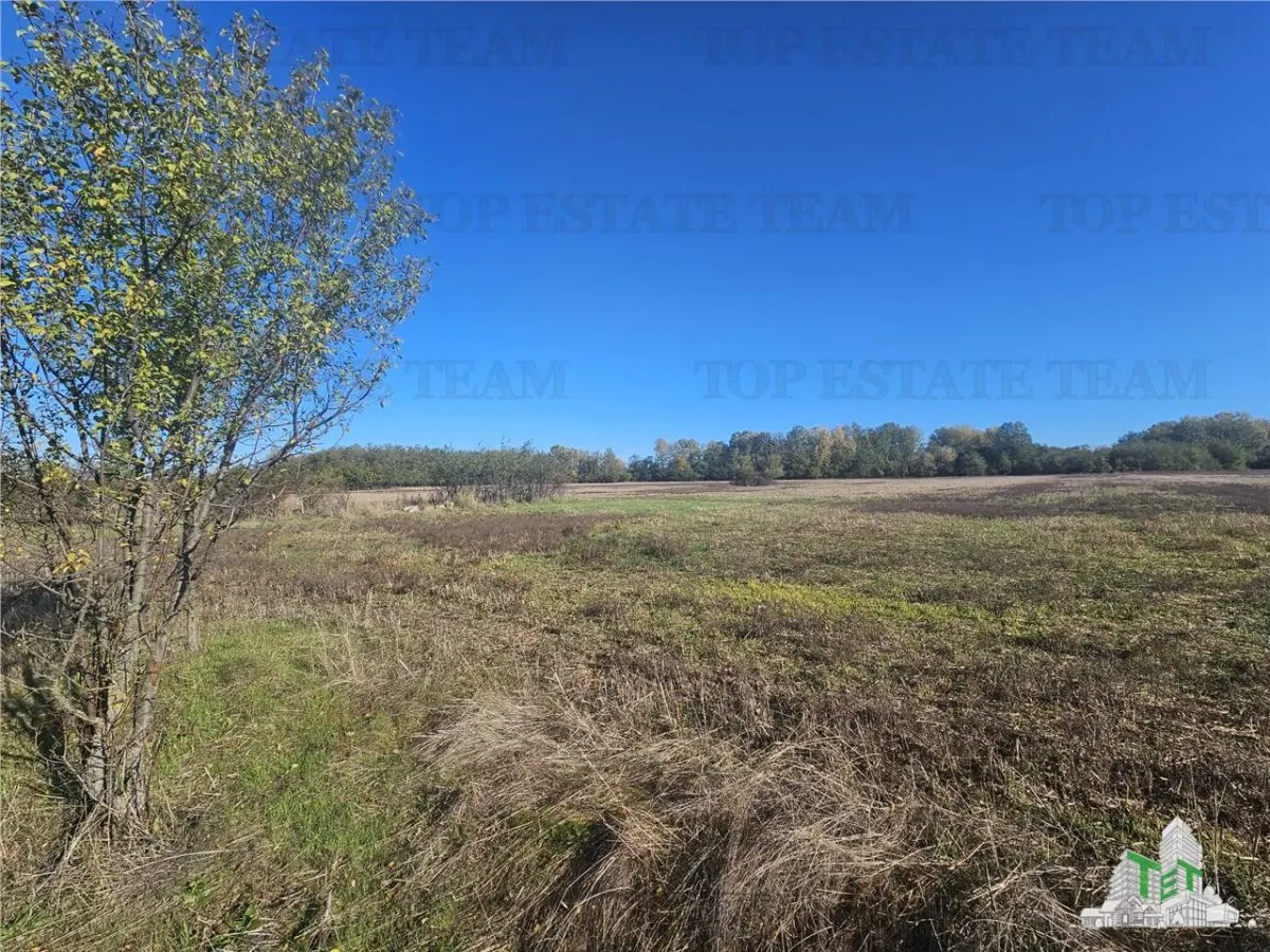 Exceptional Value: 1-Hectare Development Land, Ciorogarla–Domnesti - foto 4