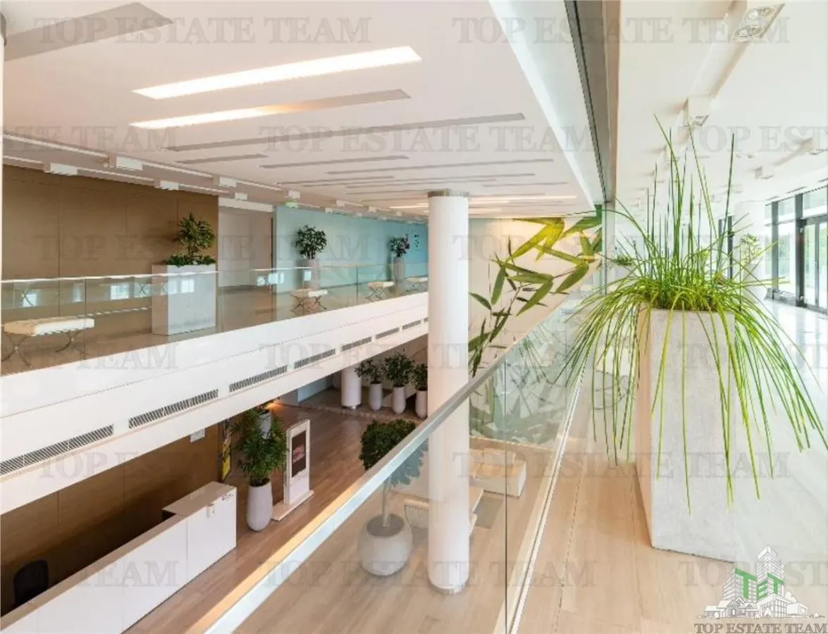 Office Space 494 sqm in Baneasa - foto 5