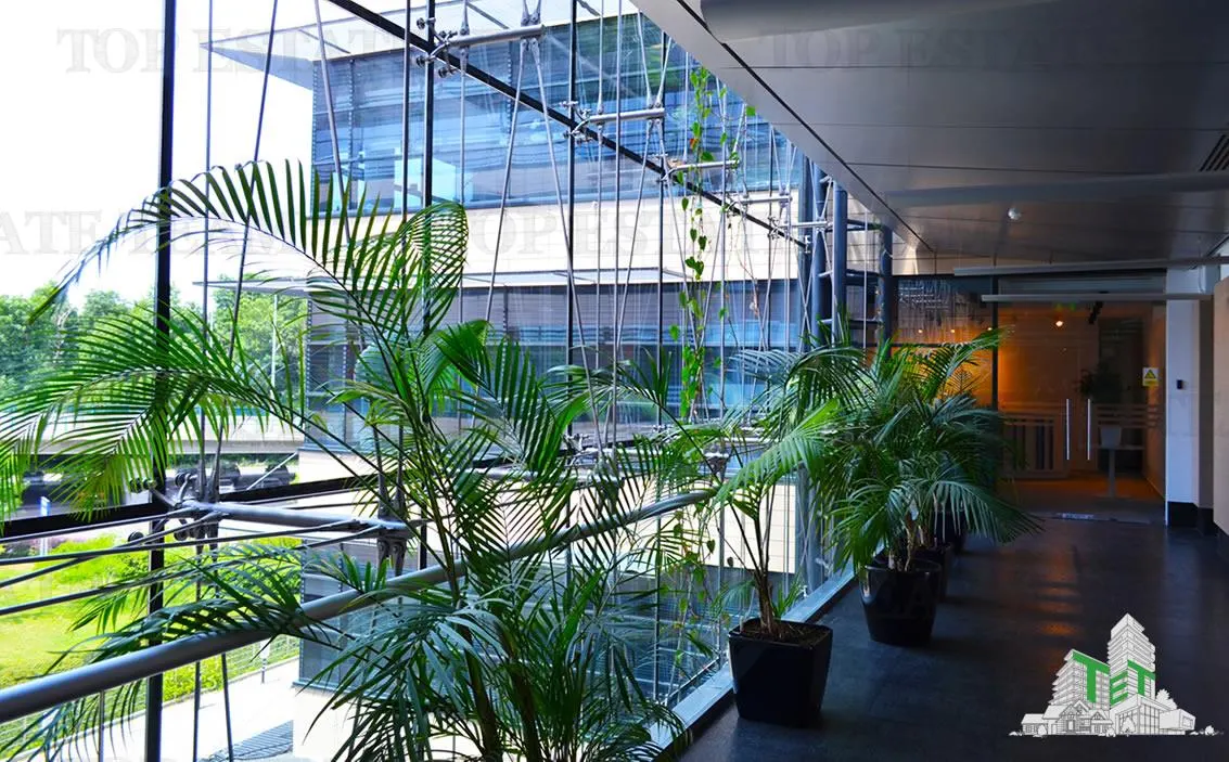 480 sqm Office Space in Baneasa - foto 9