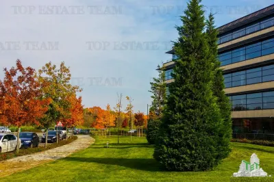 543 sqm Office Space in Baneasa - foto 10