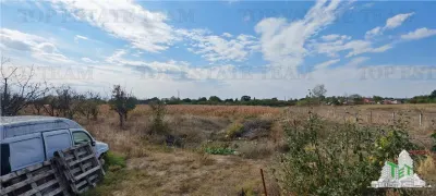 3.3ha Farm Estate with 7-Bedroom Villa, Workers' House & Livestock Facilities, Podisor/Giurgiu - foto 11