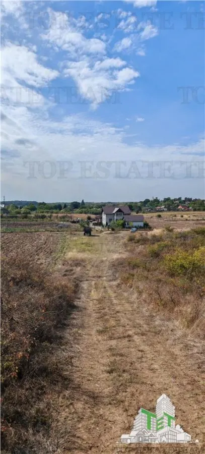 3.3ha Farm Estate with 7-Bedroom Villa, Workers' House & Livestock Facilities, Podisor/Giurgiu - foto 12