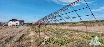 3.3ha Farm Estate with 7-Bedroom Villa, Workers' House & Livestock Facilities, Podisor/Giurgiu - foto 13