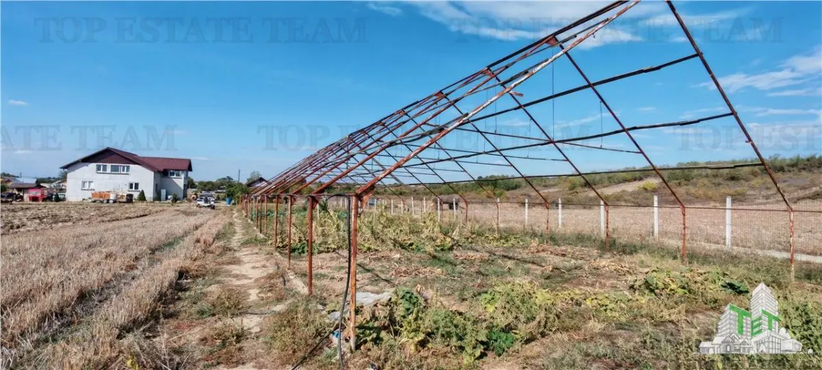 3.3ha Farm Estate with 7-Bedroom Villa, Workers' House & Livestock Facilities, Podisor/Giurgiu - foto 13