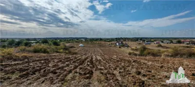 3.3ha Farm Estate with 7-Bedroom Villa, Workers' House & Livestock Facilities, Podisor/Giurgiu - foto 16