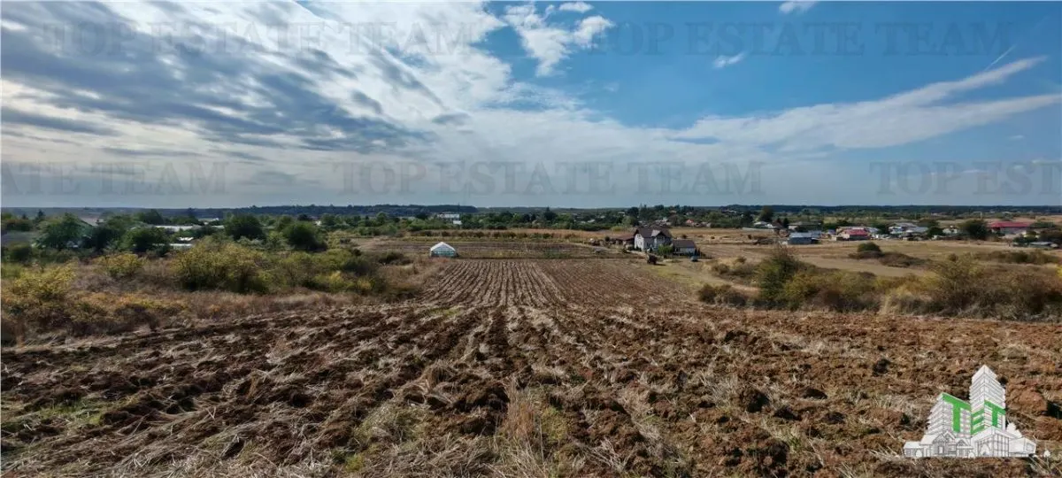 3.3ha Farm Estate with 7-Bedroom Villa, Workers' House & Livestock Facilities, Podisor/Giurgiu - foto 16