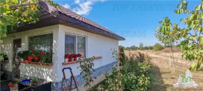 3.3ha Farm Estate with 7-Bedroom Villa, Workers' House & Livestock Facilities, Podisor/Giurgiu - foto 17