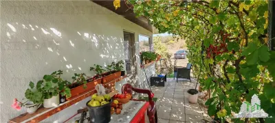 3.3ha Farm Estate with 7-Bedroom Villa, Workers' House & Livestock Facilities, Podisor/Giurgiu - foto 5