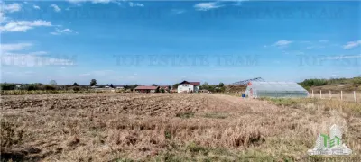 3.3ha Farm Estate with 7-Bedroom Villa, Workers' House & Livestock Facilities, Podisor/Giurgiu - foto 9