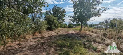 3.3ha Farm Estate with 7-Bedroom Villa, Workers' House & Livestock Facilities, Podisor/Giurgiu - foto 10