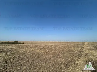 Simnicu de Sus near Craiova / Arable Land / 4,200 sqm - Simnicu de Sus
