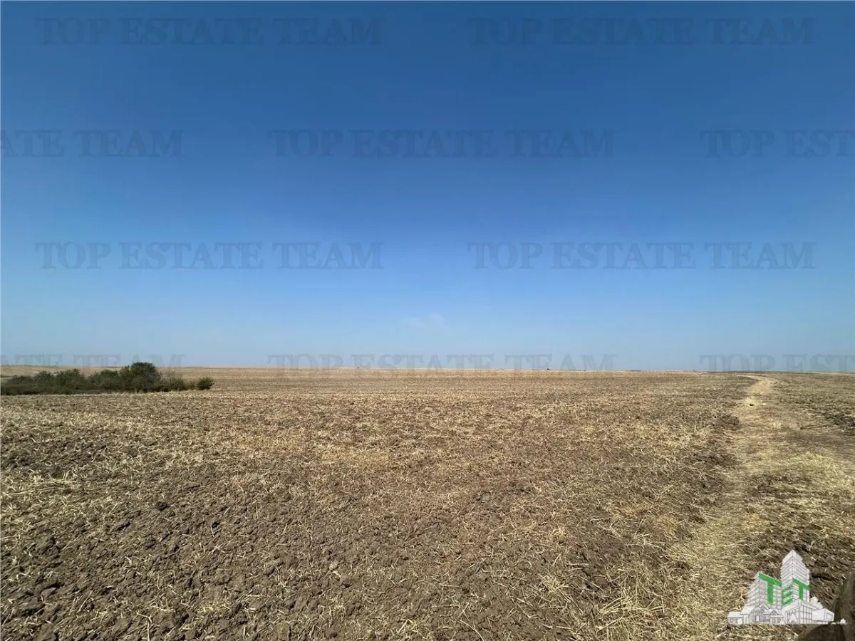 Simnicu de Sus near Craiova / Arable Land / 4,200 sqm - foto 1