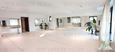 Exceptional 1,000 sqm Property, Domenii Zone, Sector 1 – Diplomatic/Medical/Office - foto 13