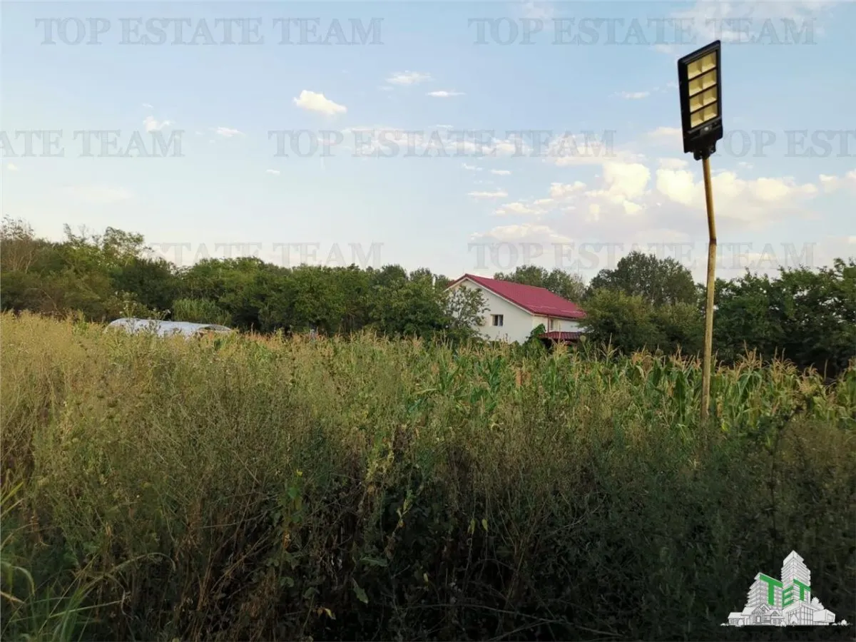 Adunatii Copaceni: 1,212 sqm Land with 136 sqm Industrial Hall & Cottage - foto 1