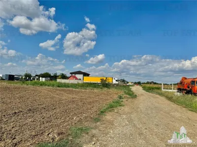 Special Offer: Land for Sale in Frumusani - Frumusani