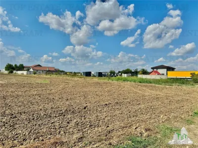 Special Offer: Land for Sale in Frumusani - foto 4
