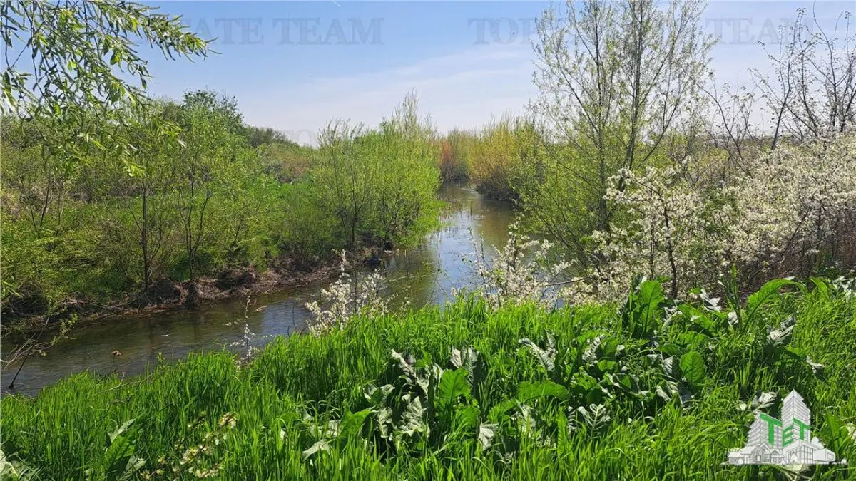1,171 sqm Plot, Palanca, Near Sabar River - foto 3