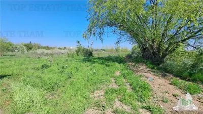 1,171 sqm Plot, Palanca, Near Sabar River - foto 5