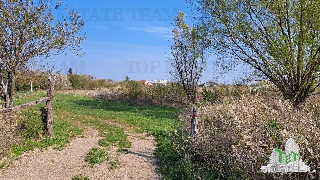 1,171 sqm Plot, Palanca, Near Sabar River - foto 8