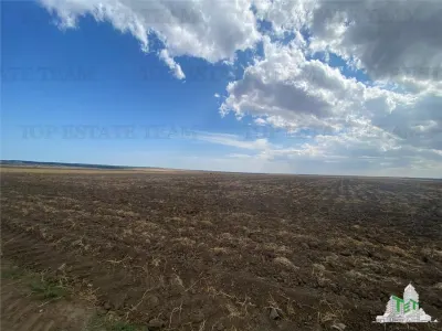 Development Land in Mihail Kogalniceanu, Constanta - foto 4