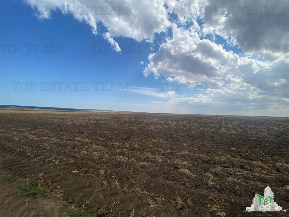 Development Land in Mihail Kogalniceanu, Constanta - foto 4