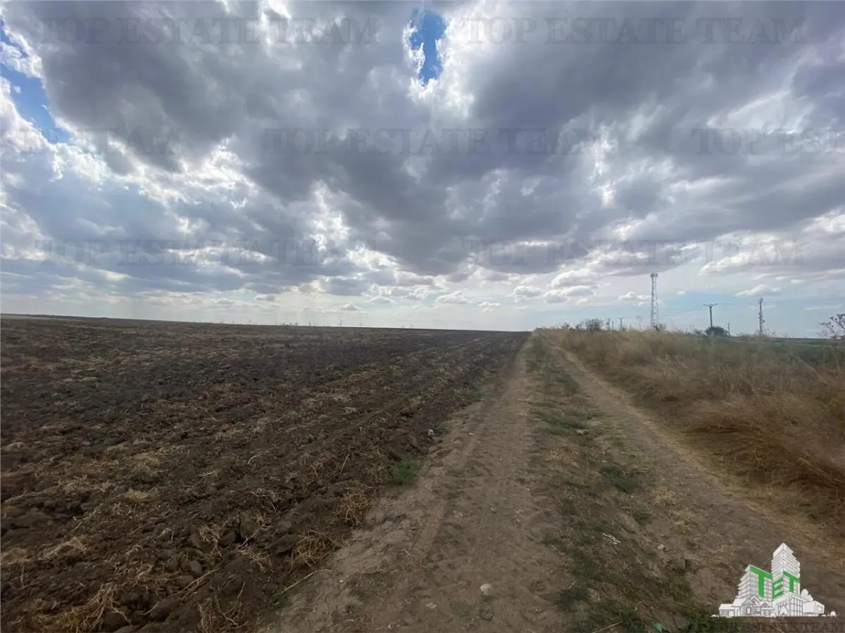 Development Land in Mihail Kogalniceanu, Constanta - foto 6