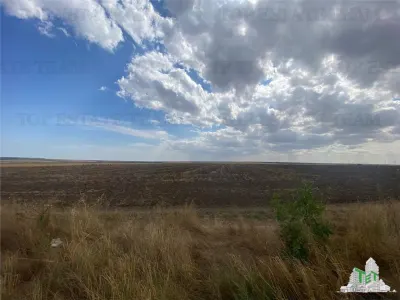 Development Land in Mihail Kogalniceanu, Constanta - foto 7