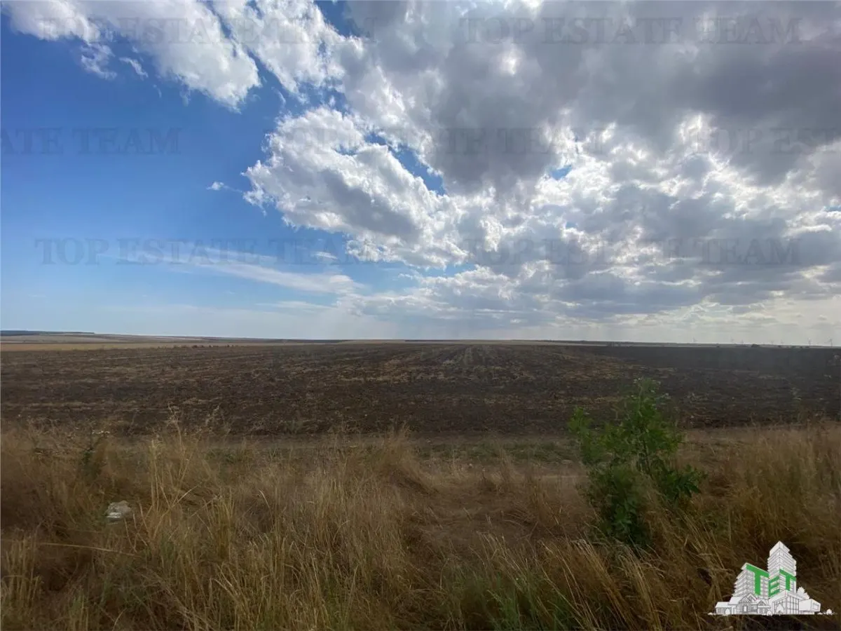 Development Land in Mihail Kogalniceanu, Constanta - foto 7