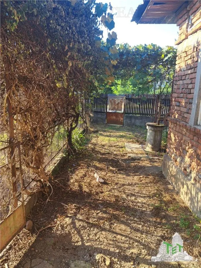 Country House with 3,579 sqm Land in Cascioarele, Giurgiu - foto 2